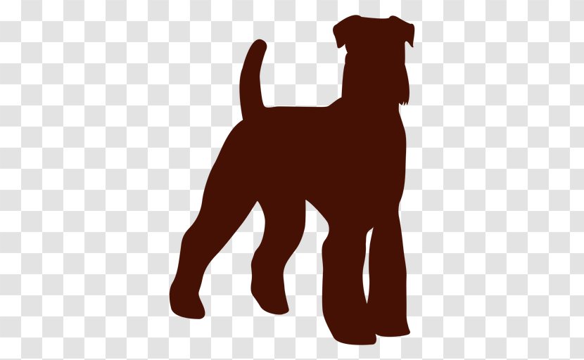 Dog Breed Puppy Irish Terrier Companion Miniature Schnauzer - Drawing Transparent PNG