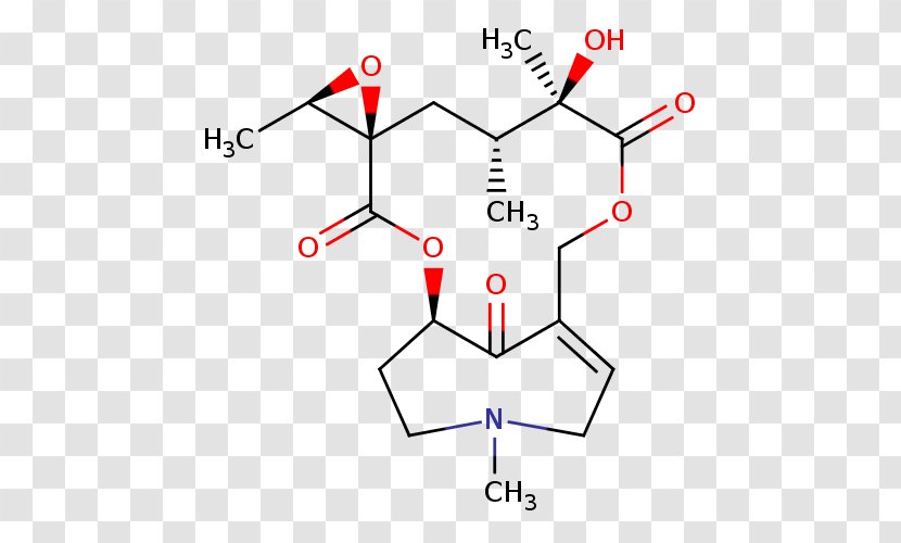 Stinking Willie Pyrrolizidine Alkaloid Chemistry - Heart - Flower Transparent PNG