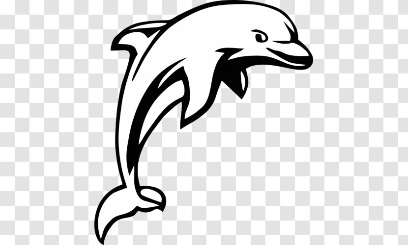 Drawing Line Art Dolphin Clip Transparent PNG