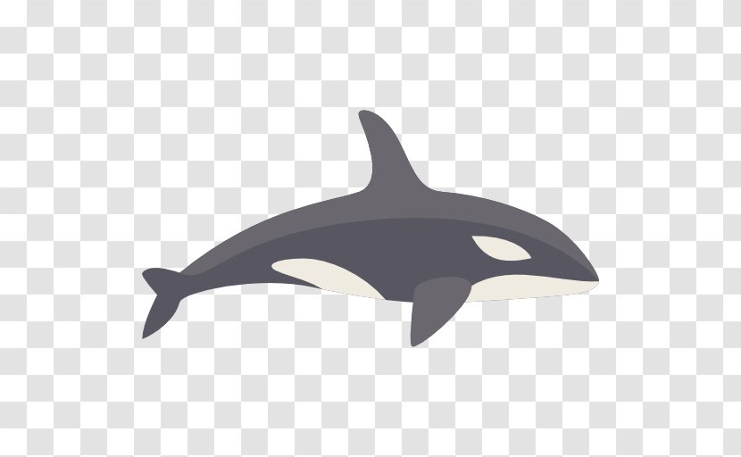 Dolphin Killer Whale Animal Icon - Porpoise Transparent PNG