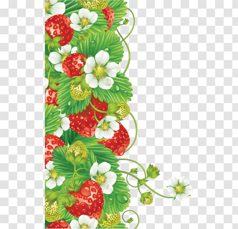 Kitchen Garden Odnoklassniki Gardening LiveInternet - Decorative Floral Material Transparent PNG
