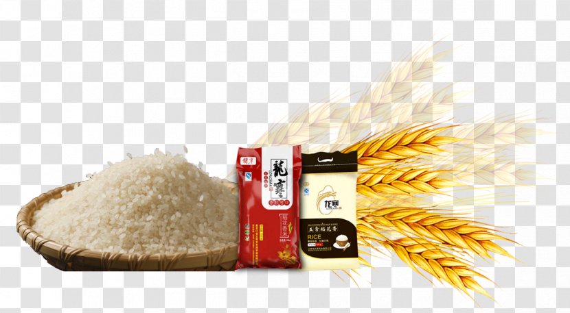 Common Wheat Rice Gadu Barley - Paddy Field Transparent PNG