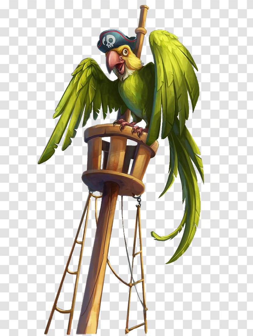 Parrot Macaw Piracy - Bird - Pirate With Green Cap Transparent PNG