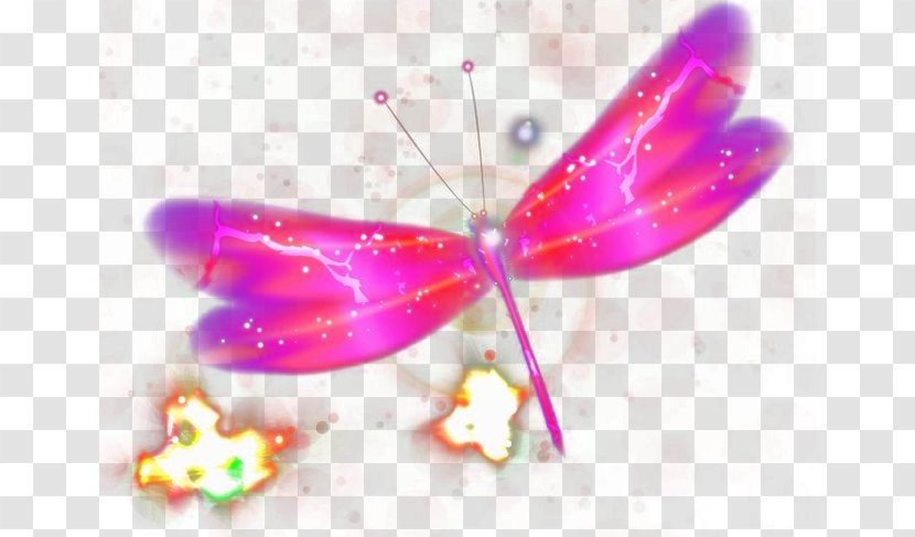 Petal Pink - Cartoon - Magic Butterfly Transparent PNG