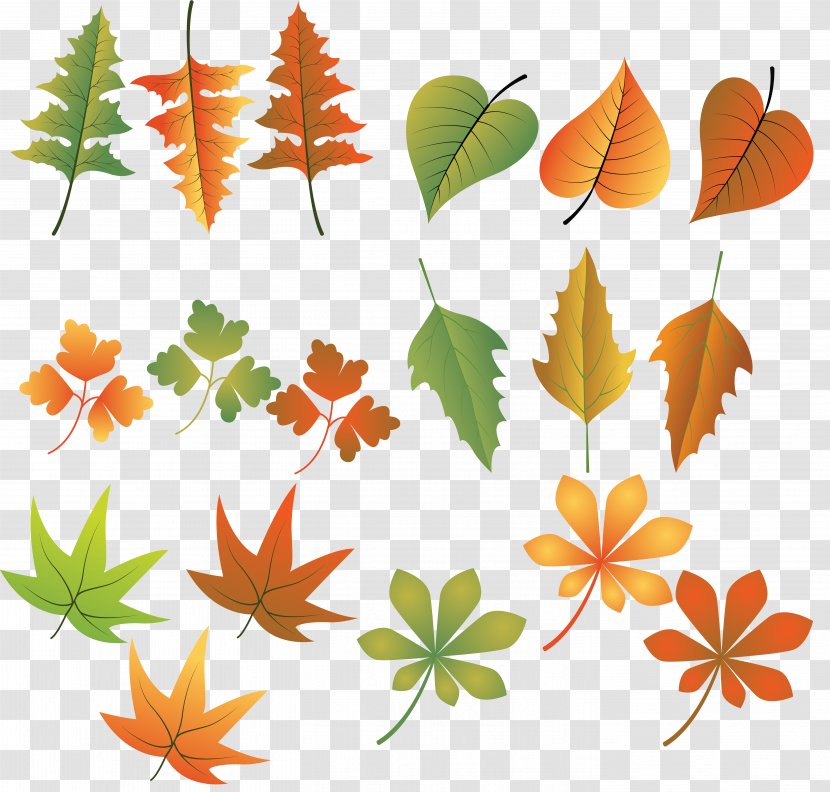 Autumn Leaf Color Drawing - Parasol Transparent PNG