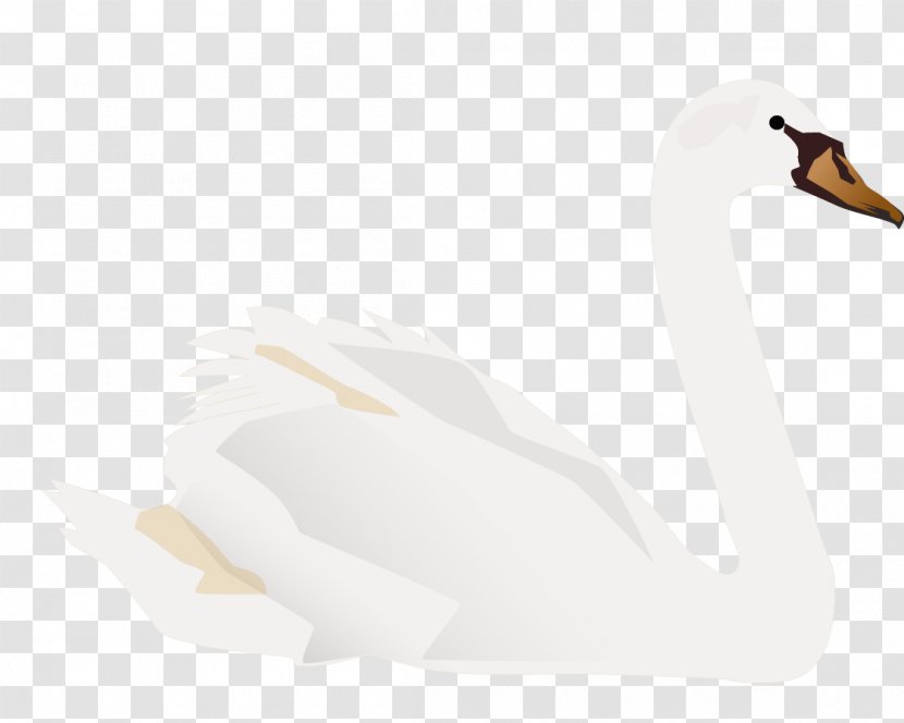 Duck Cygnini - Wing - Swan Transparent PNG