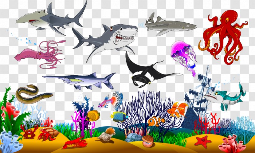 Shark Graphic Design Illustration - Organism - Vector Sea Creatures Transparent PNG
