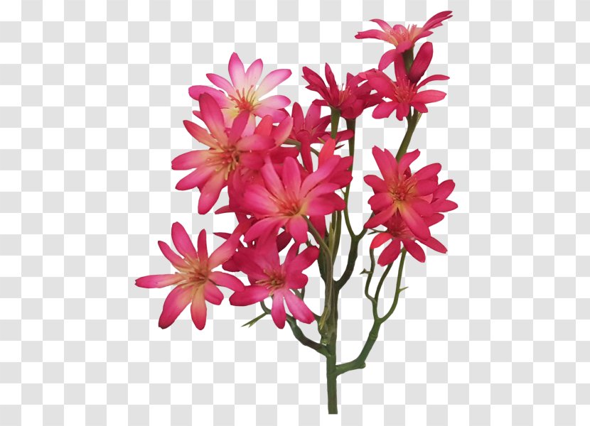 Cut Flowers Floral Design Pink M Plant Stem - Family Transparent PNG