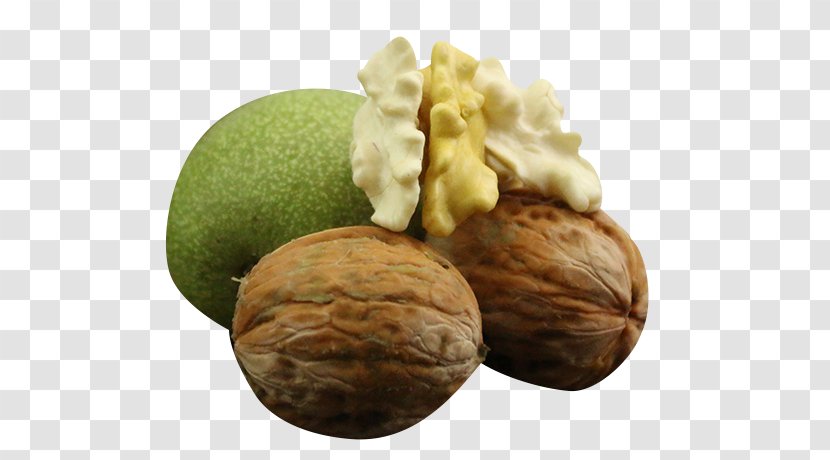 English Walnut - Fresh Transparent PNG