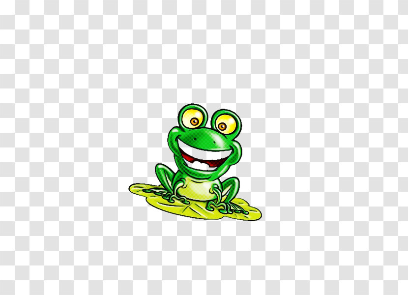 True Frog Tree Frog Frogs Toad Tadpole Transparent PNG