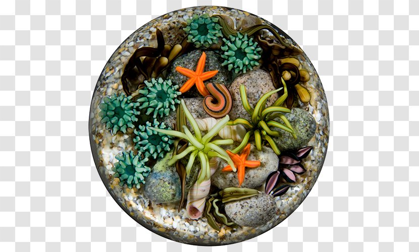 Paperweight Glass Art Tide Pool - Christmas Ornament - Suculent Transparent PNG