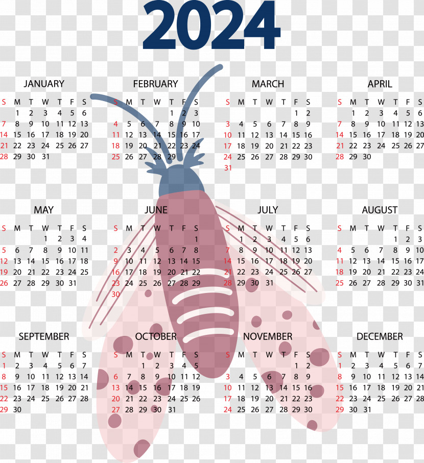 Calendar Line Font Bank Pekao Transparent PNG