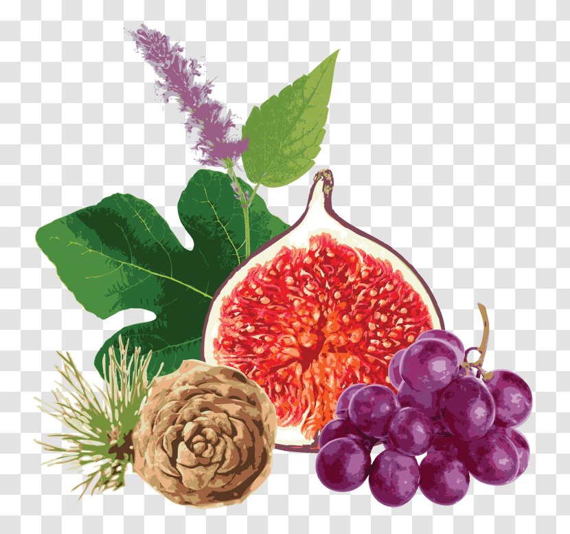 Grape Seed Extract Lotion Common Fig Food Transparent PNG