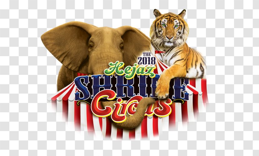 Hejaz Shrine Circus Anderson - Carnival Poster Transparent PNG