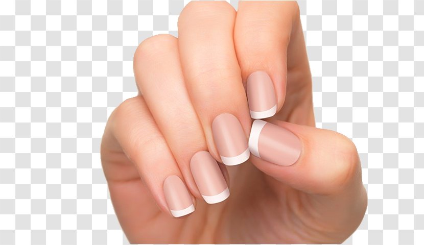 Franske Negle Manicure Nail Art Artificial Nails Polish - Finger - Beauty Parlour Transparent PNG