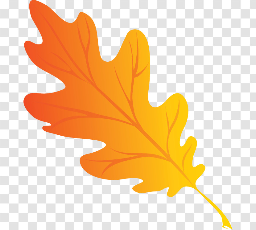 Maple Leaf Transparent PNG