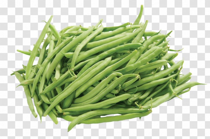 Vegetable Green Bean Plant Food Grass - Ingredient - Common Transparent PNG