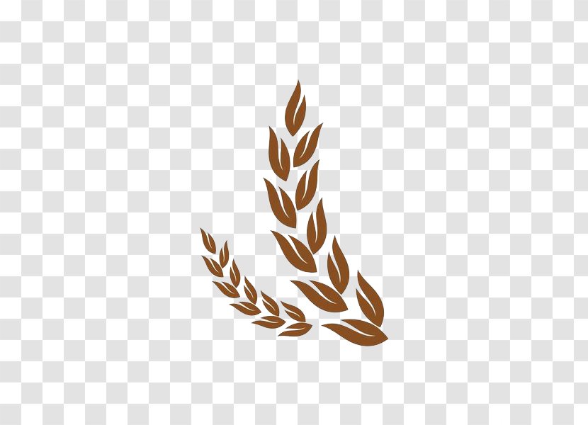 Brown Pattern - An Ear Of Wheat Transparent PNG