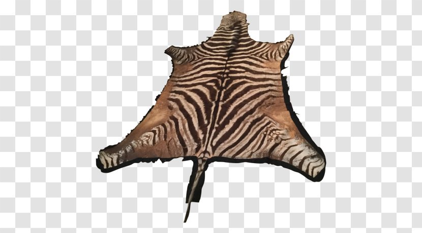 Zebra Carpet Wood Flooring Cowhide - Big Cats Transparent PNG