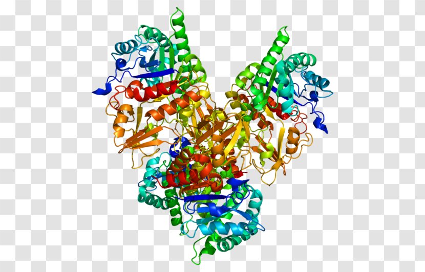 CHI3L1 Chitinase Gene Biomarker Protein - Prognosis - Food Transparent PNG