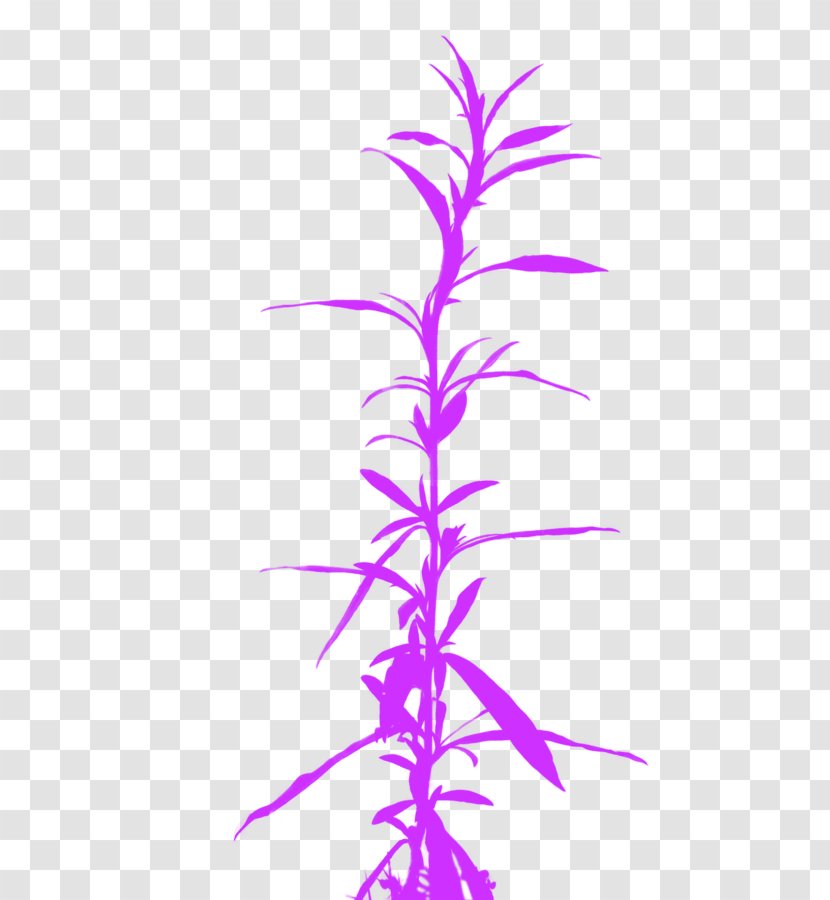 Twig Cannabis Clip Art - Magenta - Purple Flowers And Grass Transparent PNG