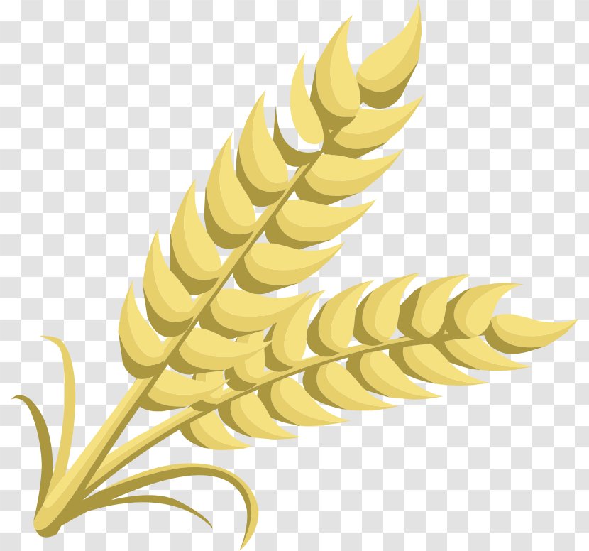 Wheat Cereal Free Content Clip Art - Barley - Cliparts Transparent PNG