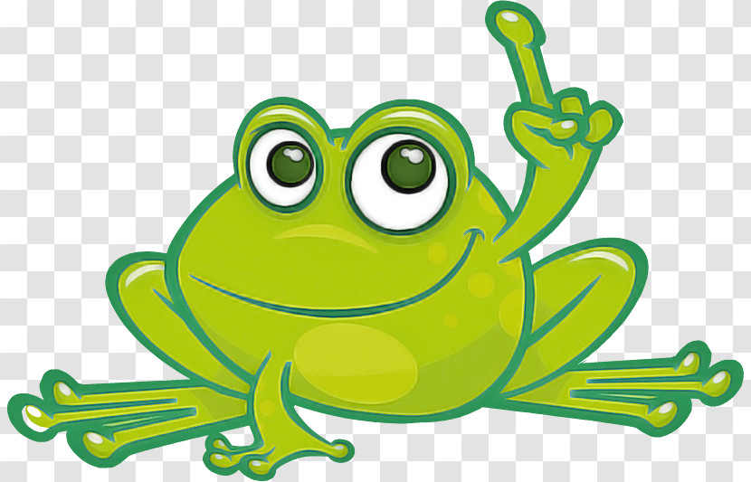 Green True Frog Hyla Tree Frog Cartoon Transparent PNG