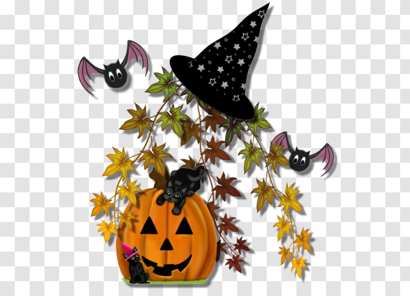Halloween Warlock Pumpkin - Holiday Transparent PNG