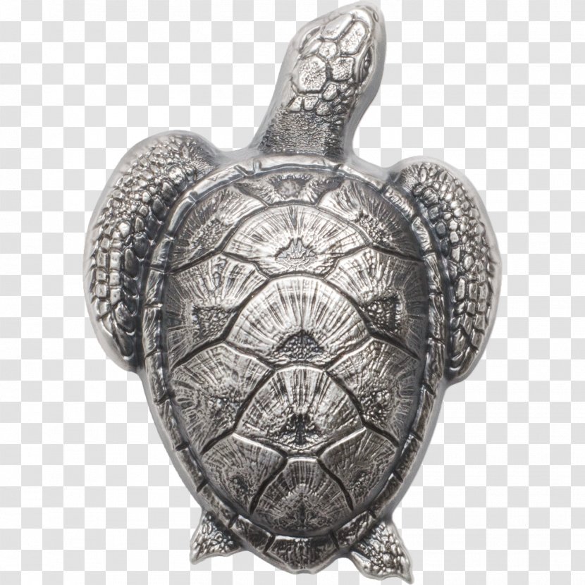 Silver Coin Gold Sea Turtle Hatchlings Transparent PNG