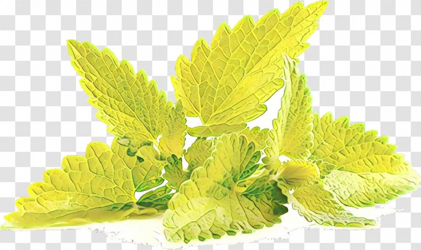 Lemon Leaf - Flower Aquarium Decor Transparent PNG