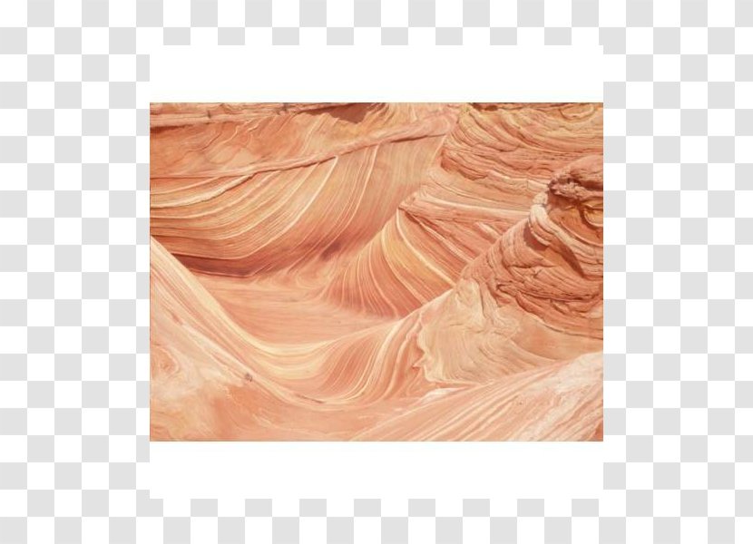 The Wave Coyote Buttes Wood Silk /m/083vt - Beige Transparent PNG