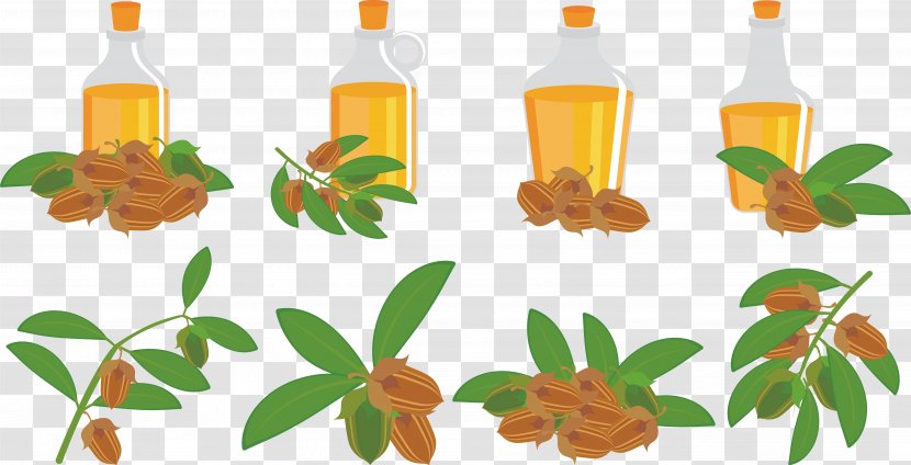 Olive Oil Bottle - Jojoba - Special Transparent PNG