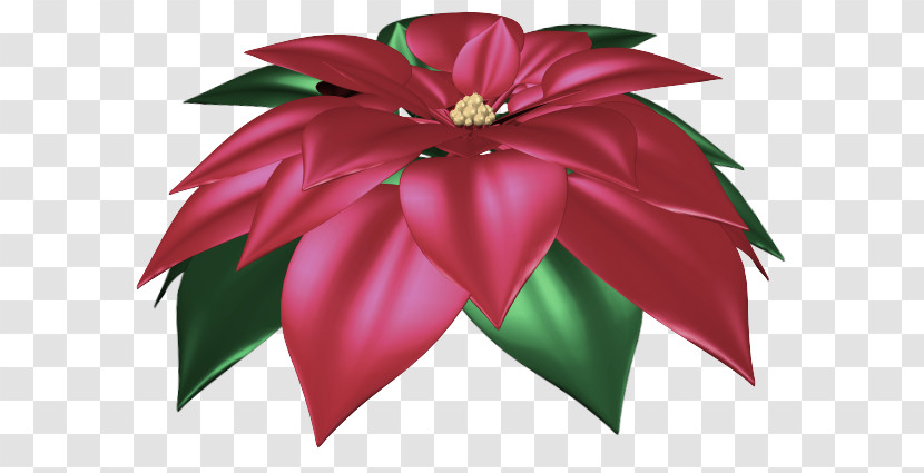 Cut Flowers Flower Poinsettia Petal Flora Transparent PNG