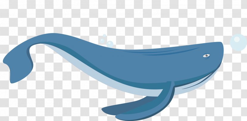 Furniture Marine Mammal - A Beluga Whale Transparent PNG