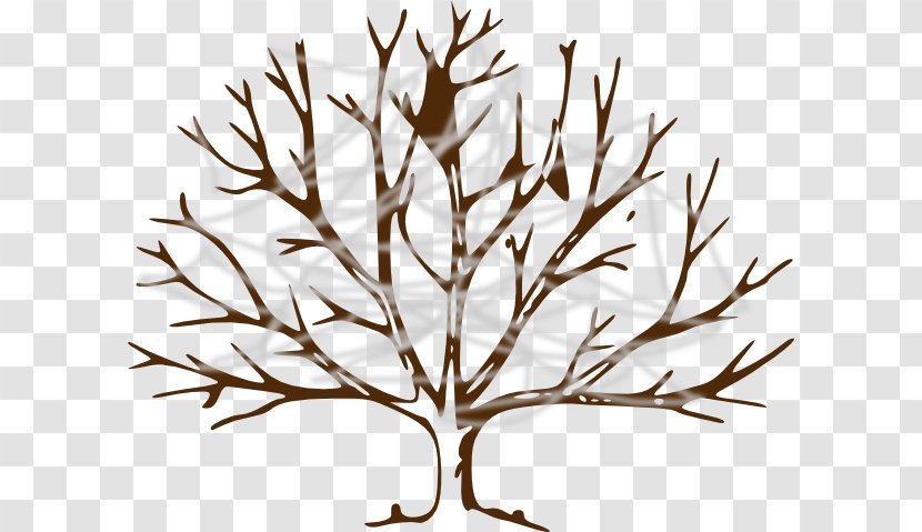 Drawing Tree Branch Clip Art - Plant Stem Transparent PNG