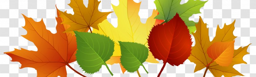 Clip Art Autumn Leaf Color Borders And Frames Image Transparent PNG
