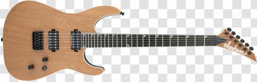 Washburn N4 Guitars Electric Guitar Cutaway - Flower Transparent PNG