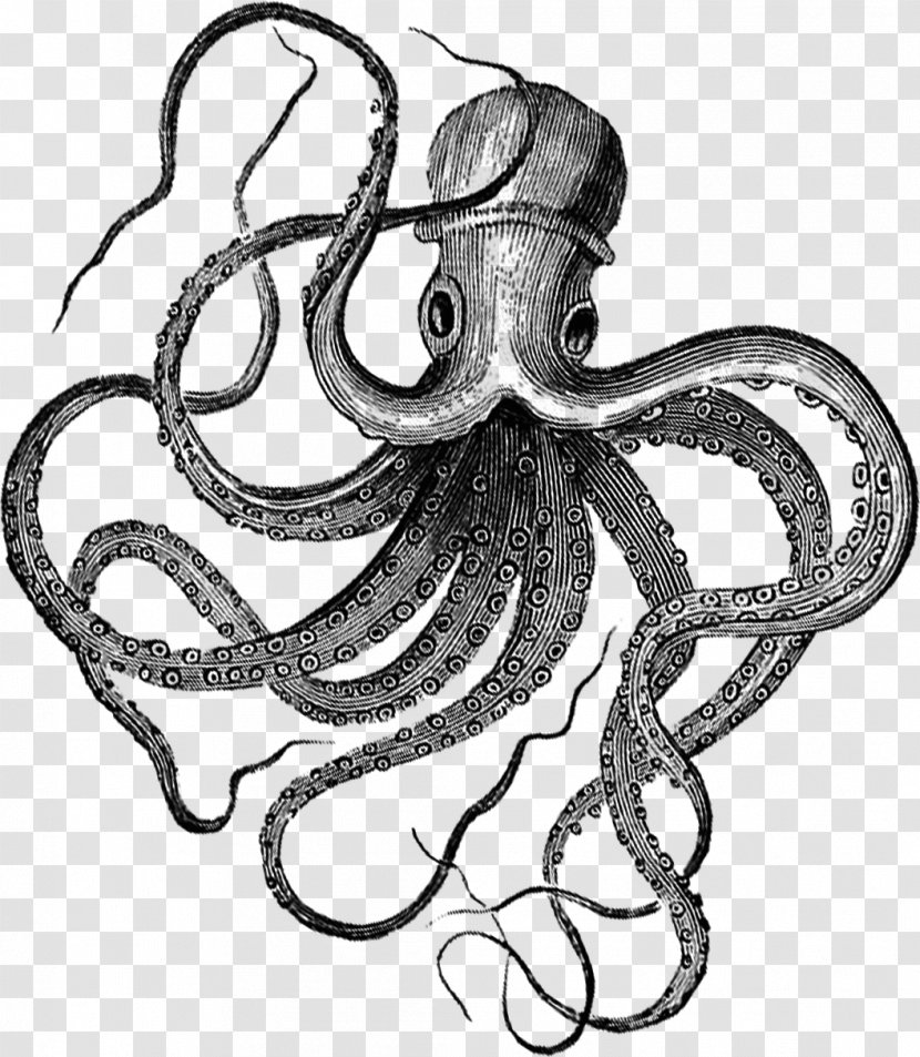 Blue-ringed Octopus Fou Club Printing Printmaking - Organism - Watercolor Transparent PNG