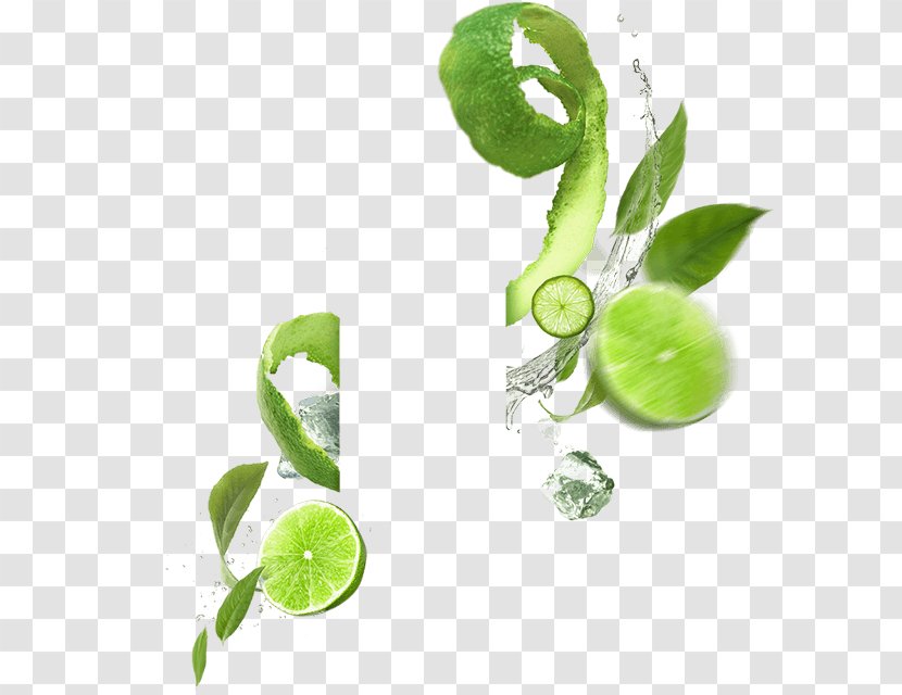 Lemonsoda Mojito Carbonated Water Fizzy Drinks Food Transparent PNG