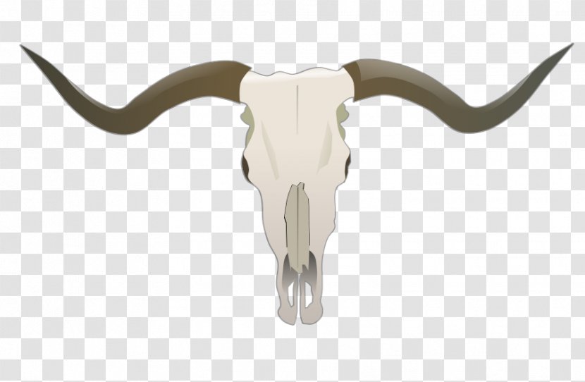 Texas Longhorn English Skull Clip Art - Free Cow Vector Transparent PNG