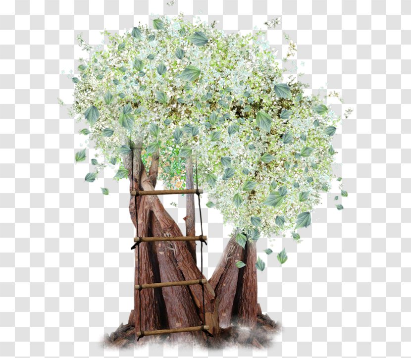 Tree - Branch - Pinnwand Transparent PNG