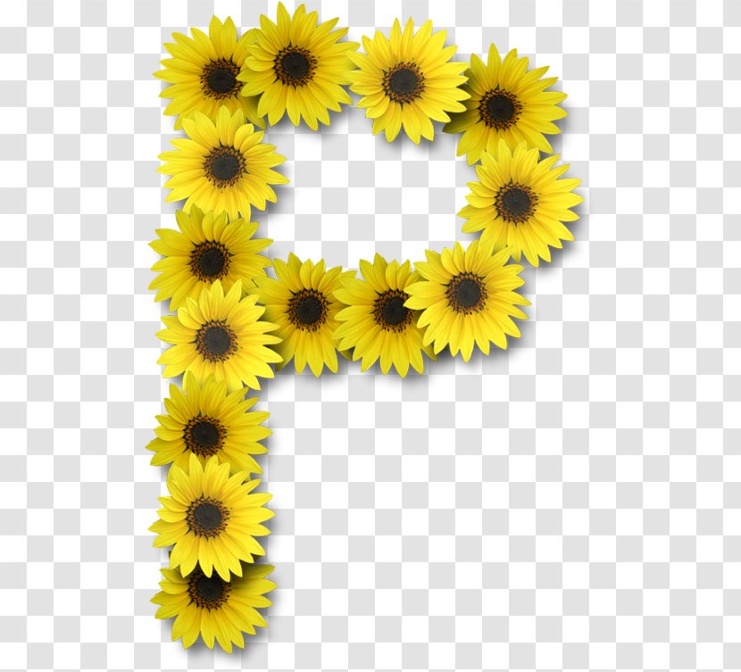 Letter Alphabet J - Flowering Plant - Initials Transparent PNG