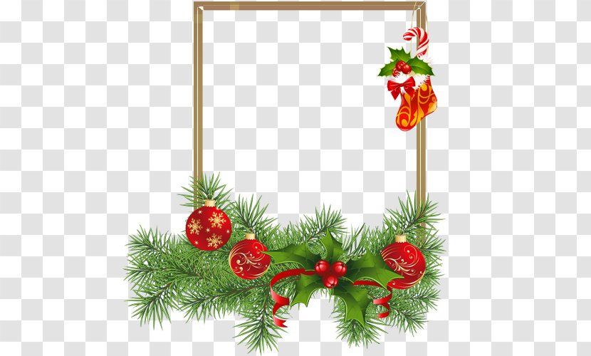 Santa Claus Christmas Day Tree Image - Conifer Transparent PNG