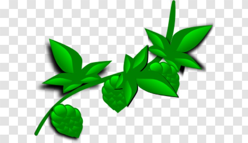 Plant Hops Clip Art - Flower - Big Leaf Transparent PNG