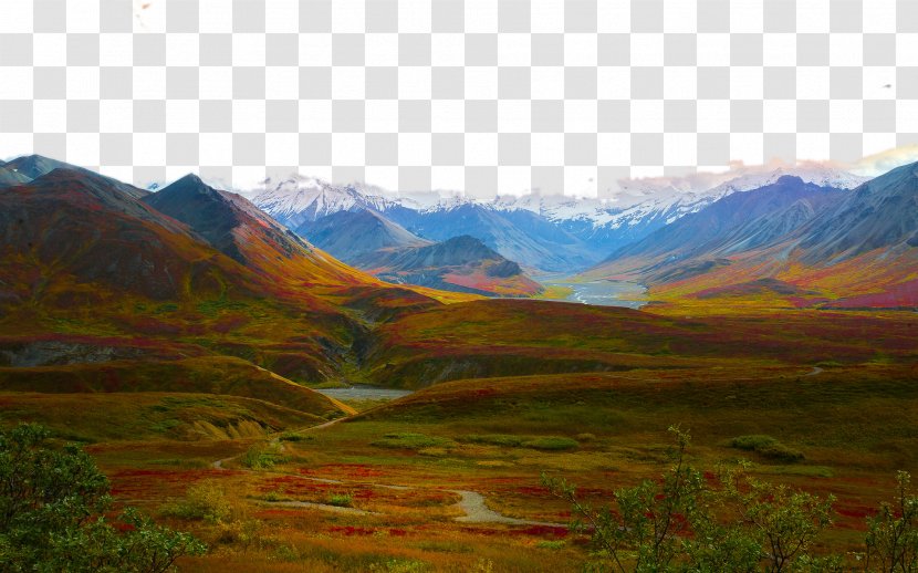 Denali National Park Landscape Wallpaper - Plain - United States Park, Eleven Transparent PNG