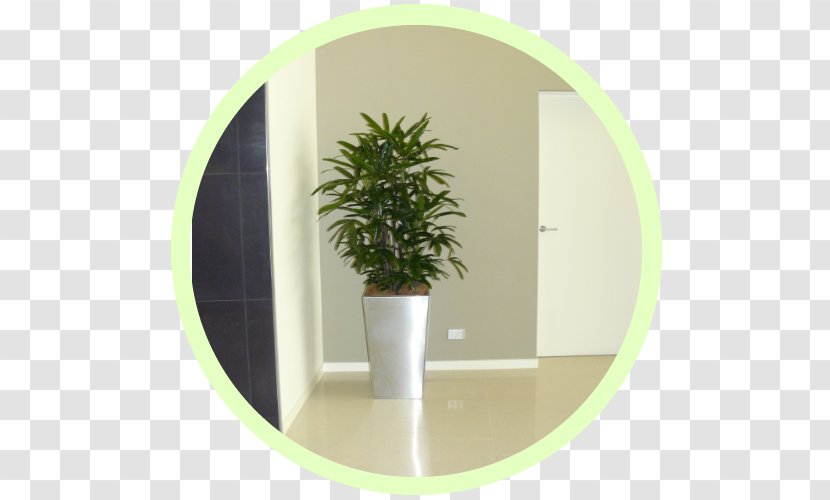 Flowerpot Workplace Houseplant Indoor Air Quality Herb - Productivity Transparent PNG