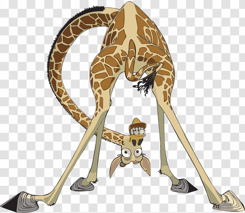 Melman Alex Gloria YouTube Madagascar - Fauna - Velaikarn Images Transparent PNG