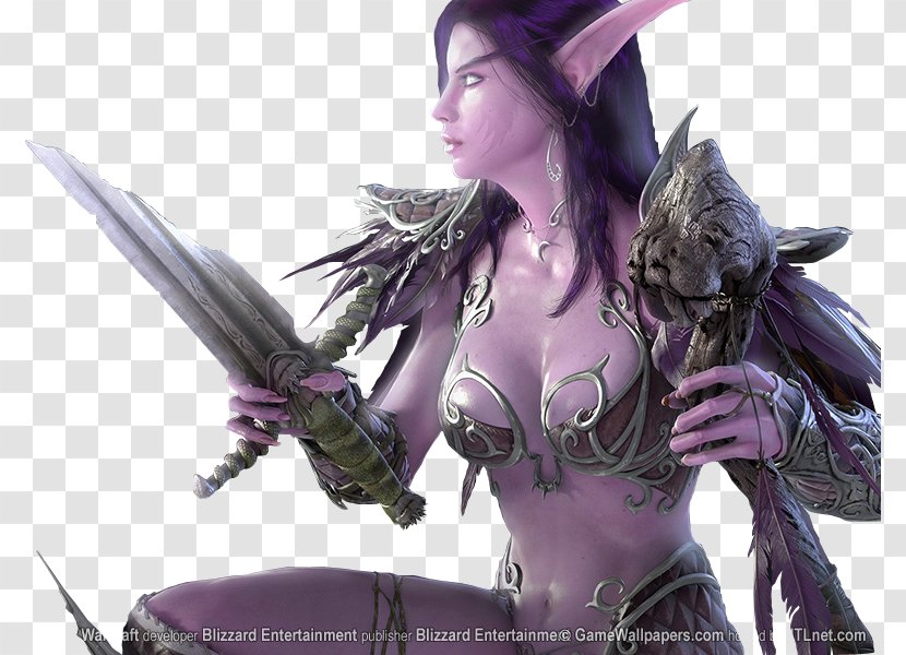 World Of Warcraft Video Game Night Elf Portal - Frame Transparent PNG