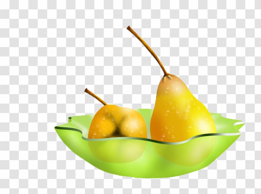 Pyrus Nivalis Fruit Salad Asian Pear Auglis - Cartoon Tray Of Pears Picture Material Transparent PNG