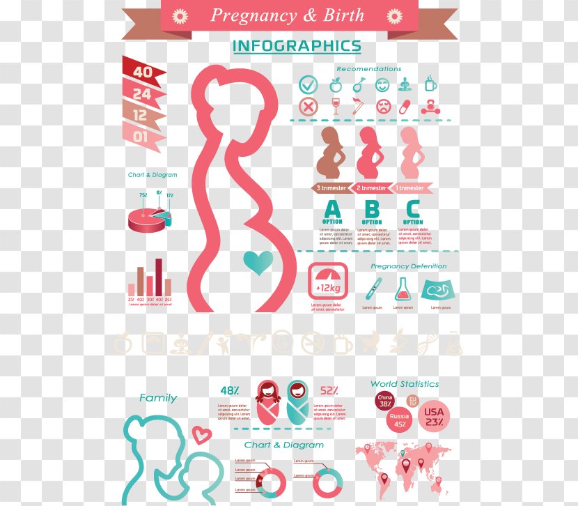 Pregnancy Childbirth Infographic Icon - Infant - Cartoon Pregnant Women ...